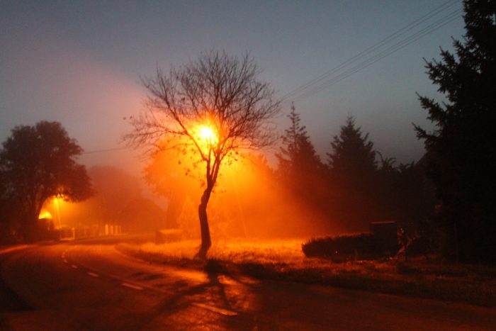 Konkurs fotograficzny